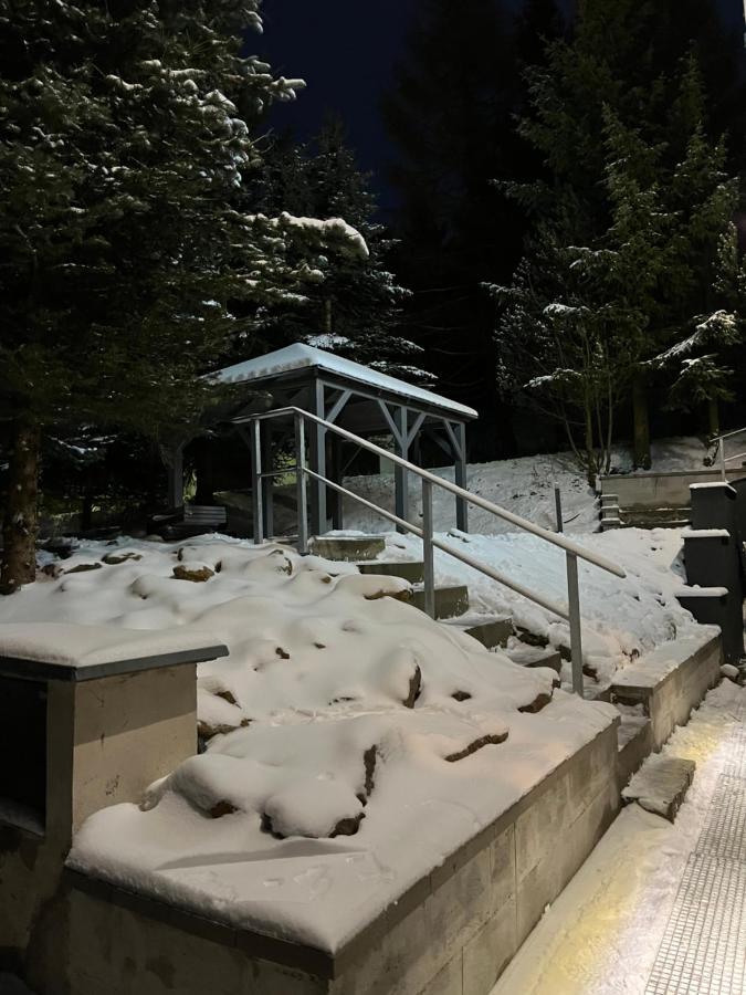 Loučná pod KlínovcemHillside No. 18公寓 外观 照片